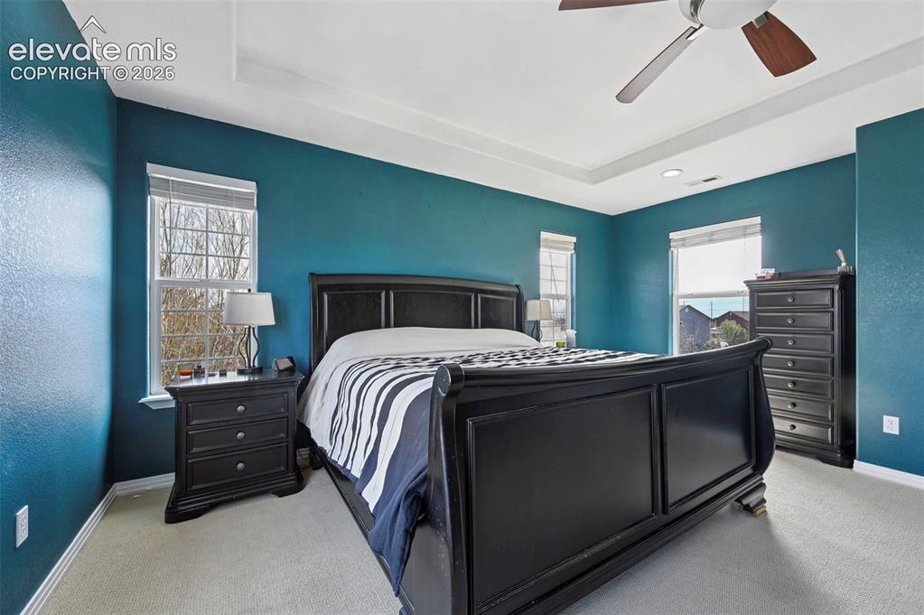7334 Talimena Terrace Peyton CO 80831