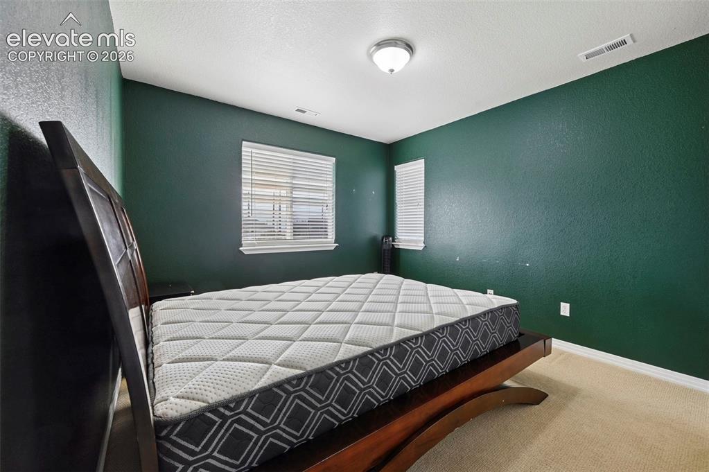 7334 Talimena Terrace Peyton CO 80831