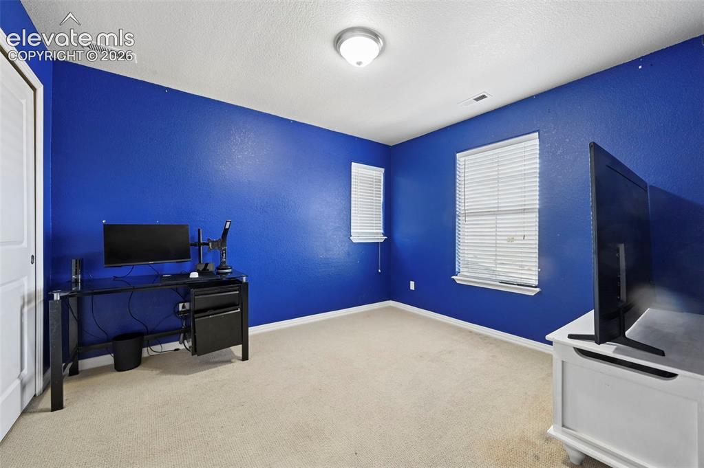 7334 Talimena Terrace Peyton CO 80831