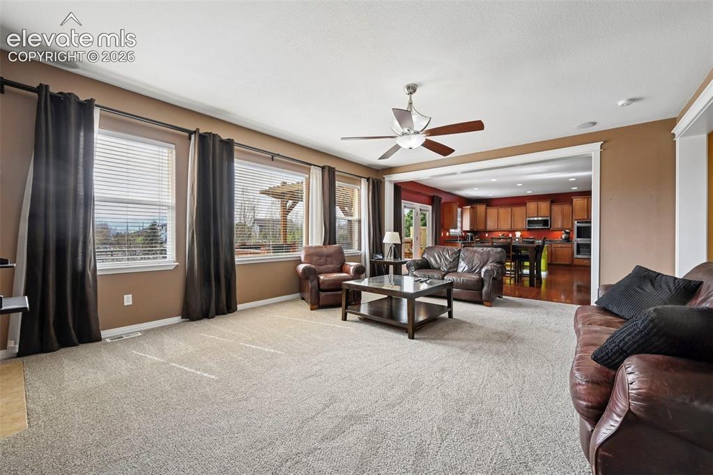 7334 Talimena Terrace Peyton CO 80831
