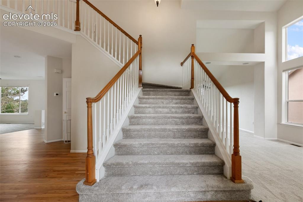 6432 Medicine Springs Drive Colorado Springs CO 80923