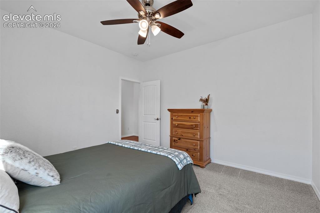 178 Coyote Willow Drive Colorado Springs CO 80921
