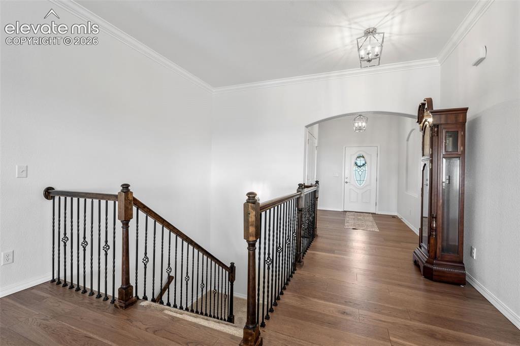 178 Coyote Willow Drive Colorado Springs CO 80921