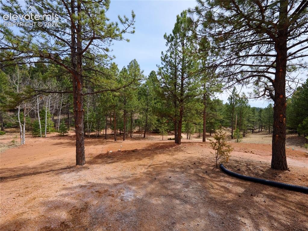 748 Pinewood Road Florissant CO 80816
