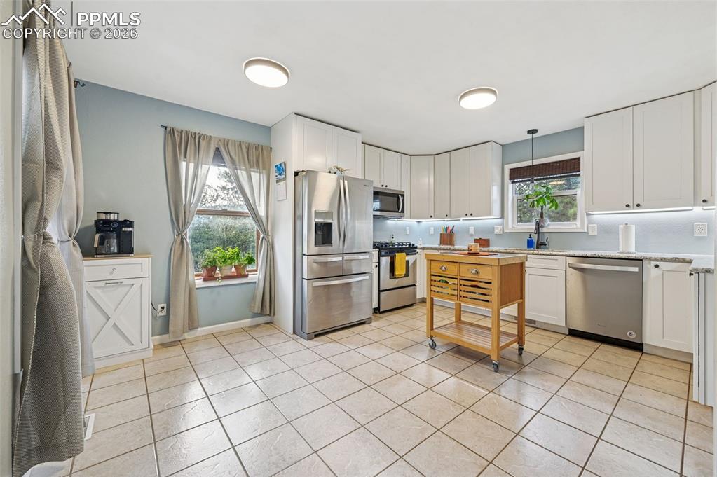 31 Wallace Drive Florissant CO 80816