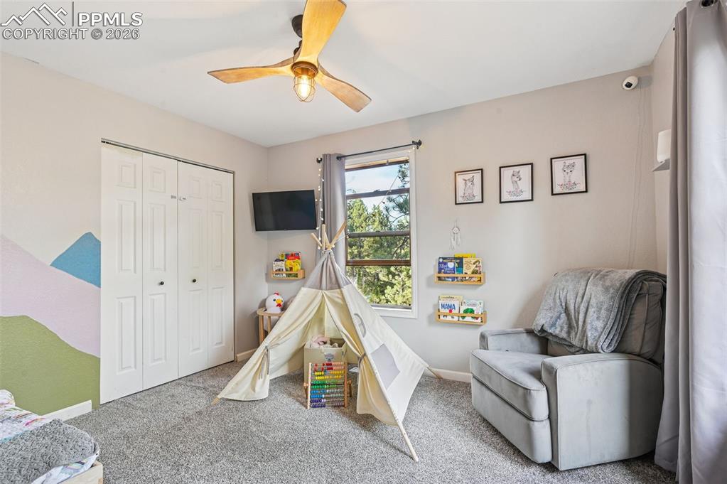 31 Wallace Drive Florissant CO 80816