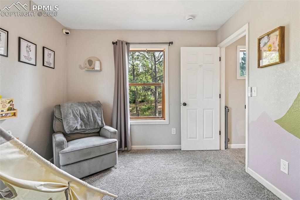 31 Wallace Drive Florissant CO 80816