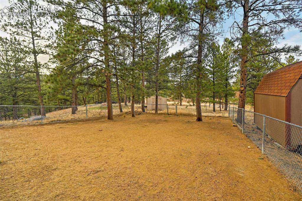 31 Wallace Drive Florissant CO 80816