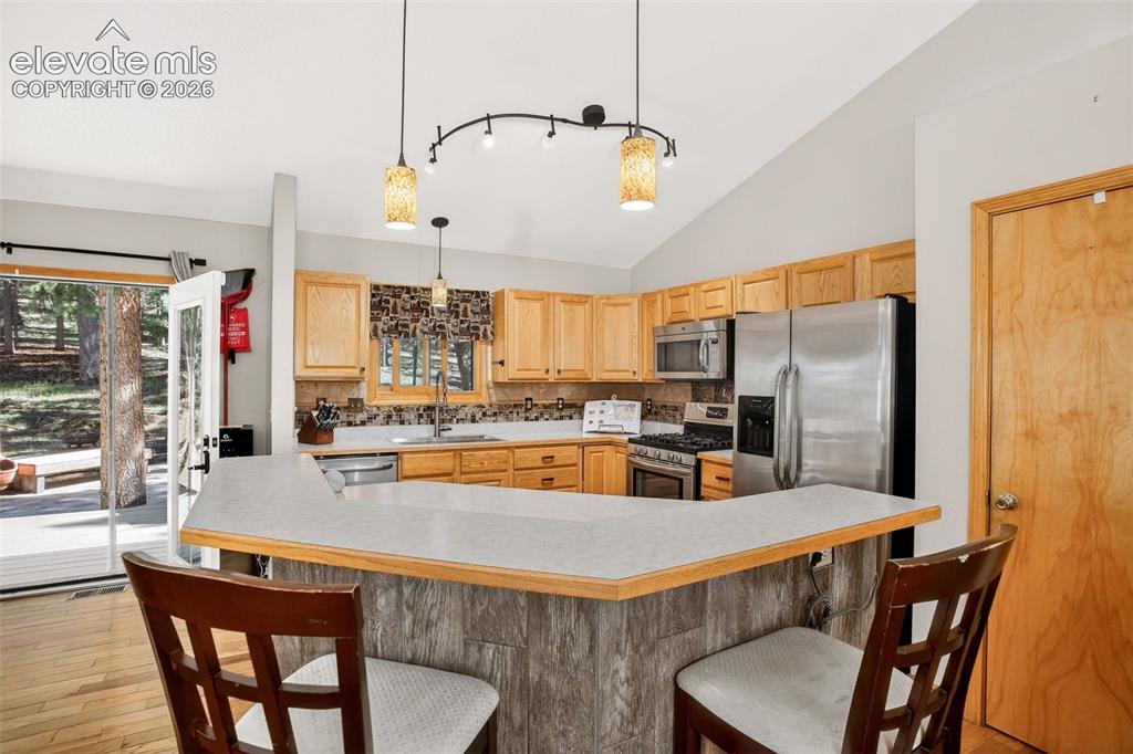 2873 Sunnywood Avenue Woodland Park CO 80863