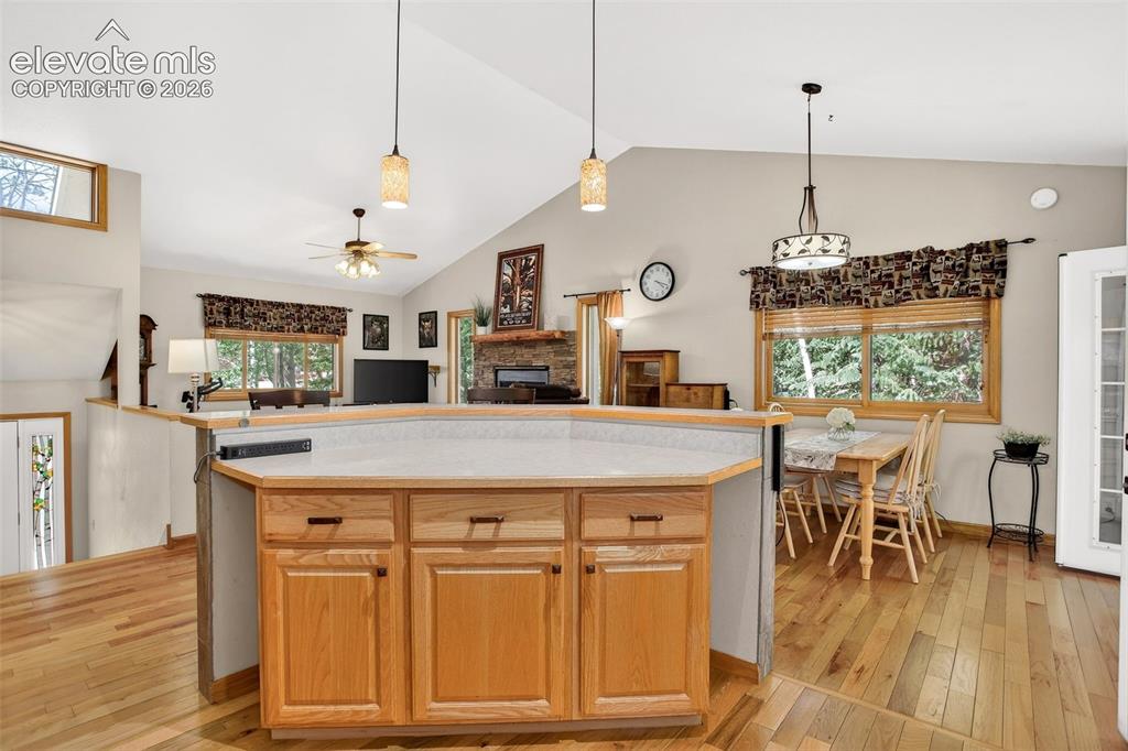 2873 Sunnywood Avenue Woodland Park CO 80863