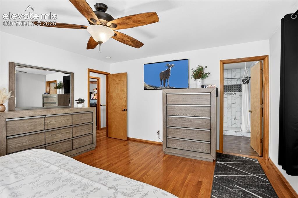 2873 Sunnywood Avenue Woodland Park CO 80863