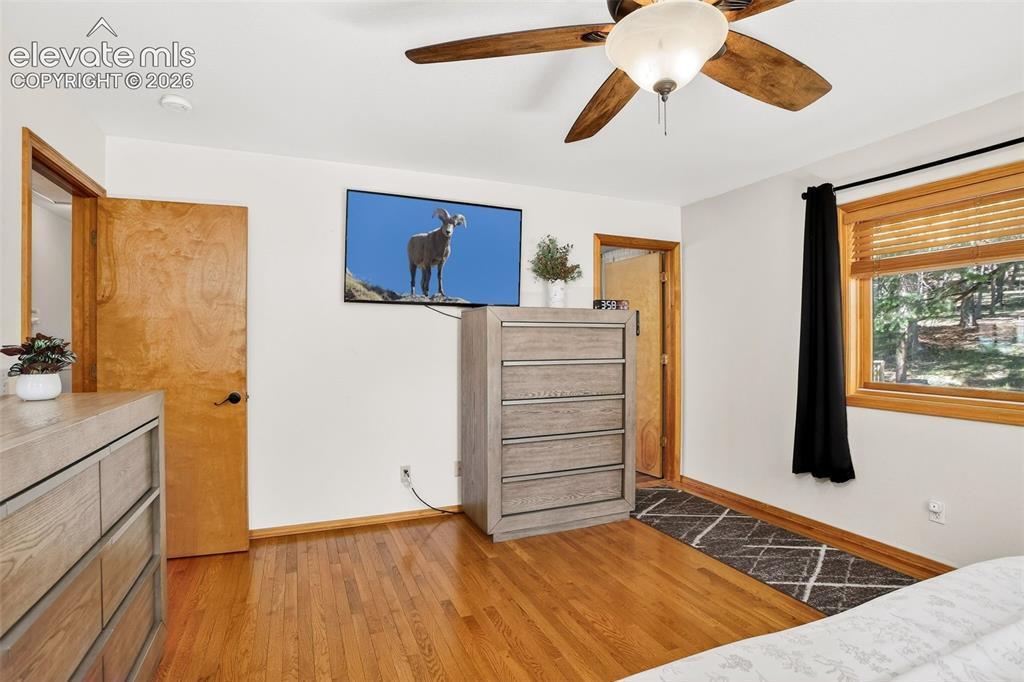 2873 Sunnywood Avenue Woodland Park CO 80863