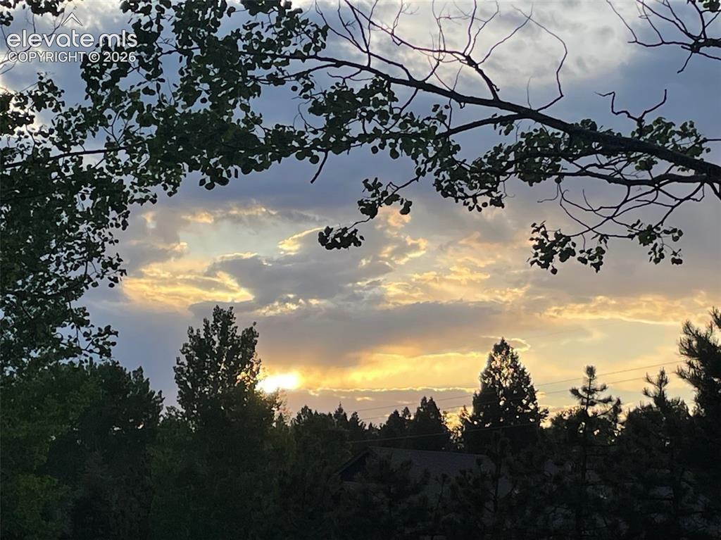 2873 Sunnywood Avenue Woodland Park CO 80863