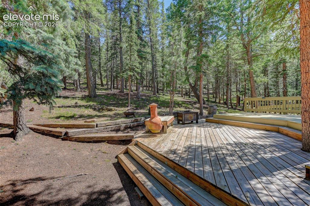 2873 Sunnywood Avenue Woodland Park CO 80863