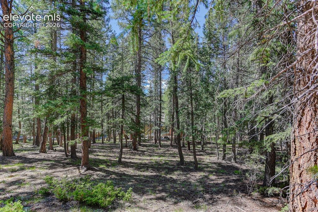 2873 Sunnywood Avenue Woodland Park CO 80863