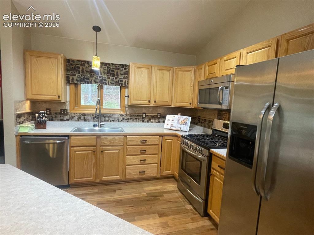 2873 Sunnywood Avenue Woodland Park CO 80863