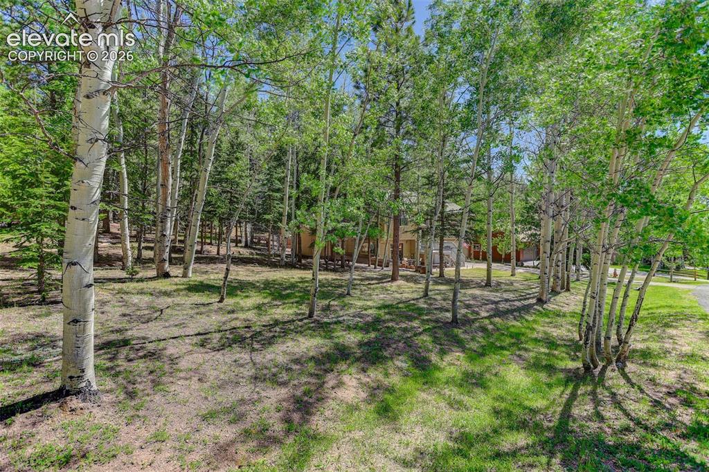 2873 Sunnywood Avenue Woodland Park CO 80863