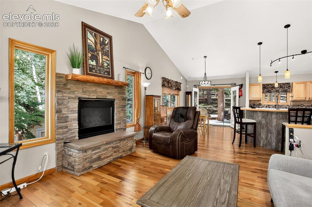 2873 Sunnywood Avenue Woodland Park CO 80863