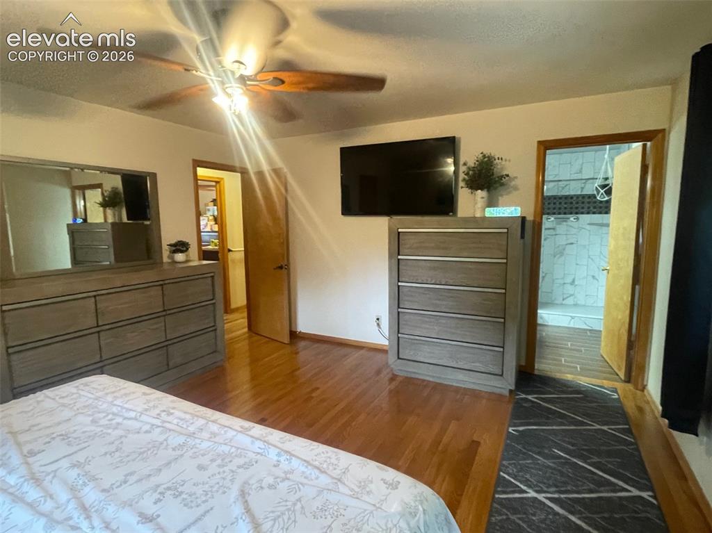 2873 Sunnywood Avenue Woodland Park CO 80863