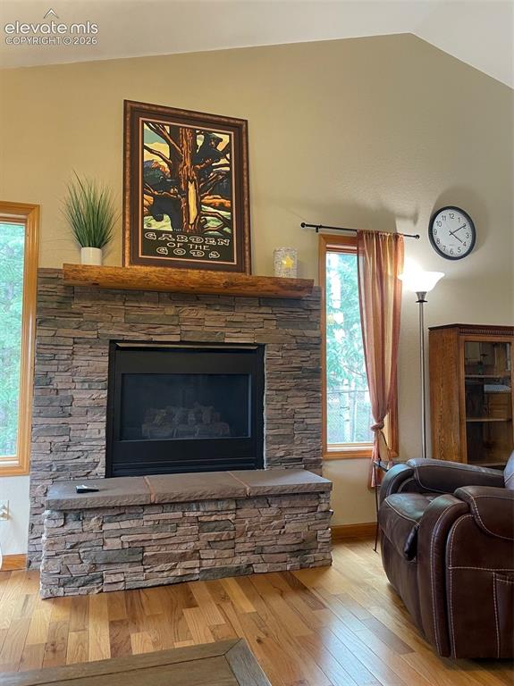 2873 Sunnywood Avenue Woodland Park CO 80863
