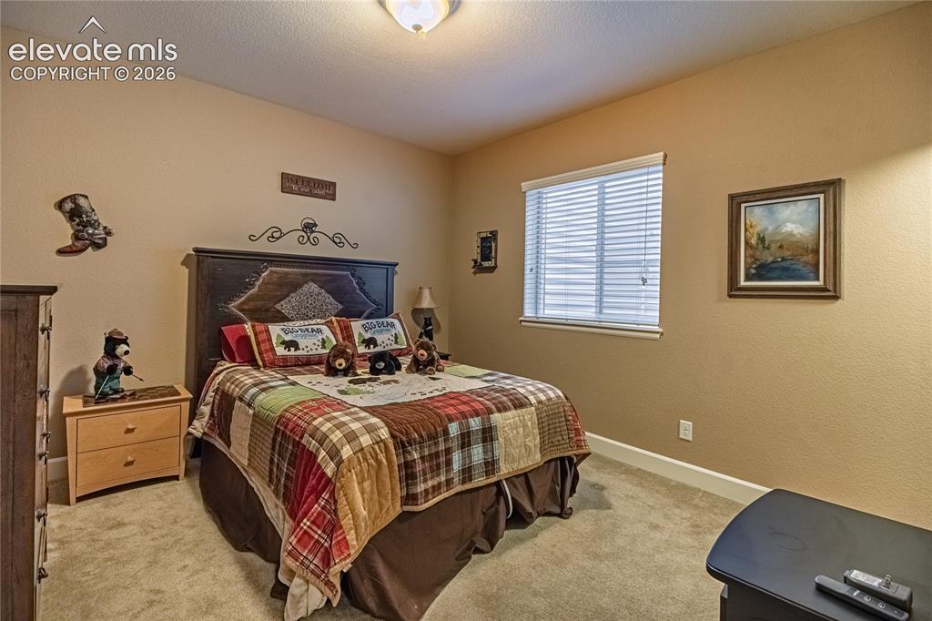 10713 Torreys Peak Way Peyton CO 80831