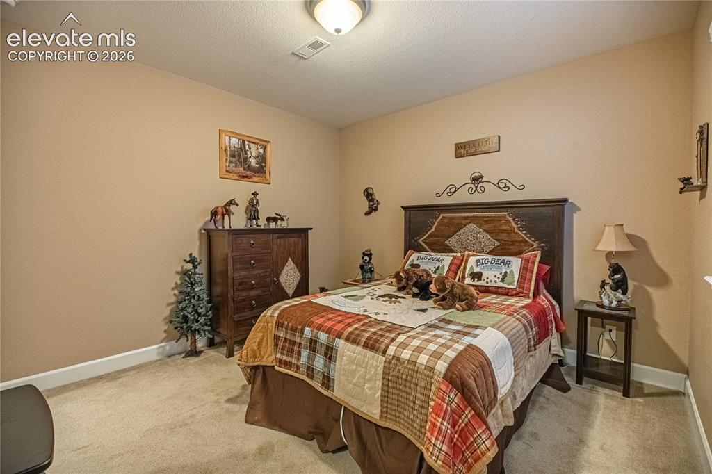 10713 Torreys Peak Way Peyton CO 80831