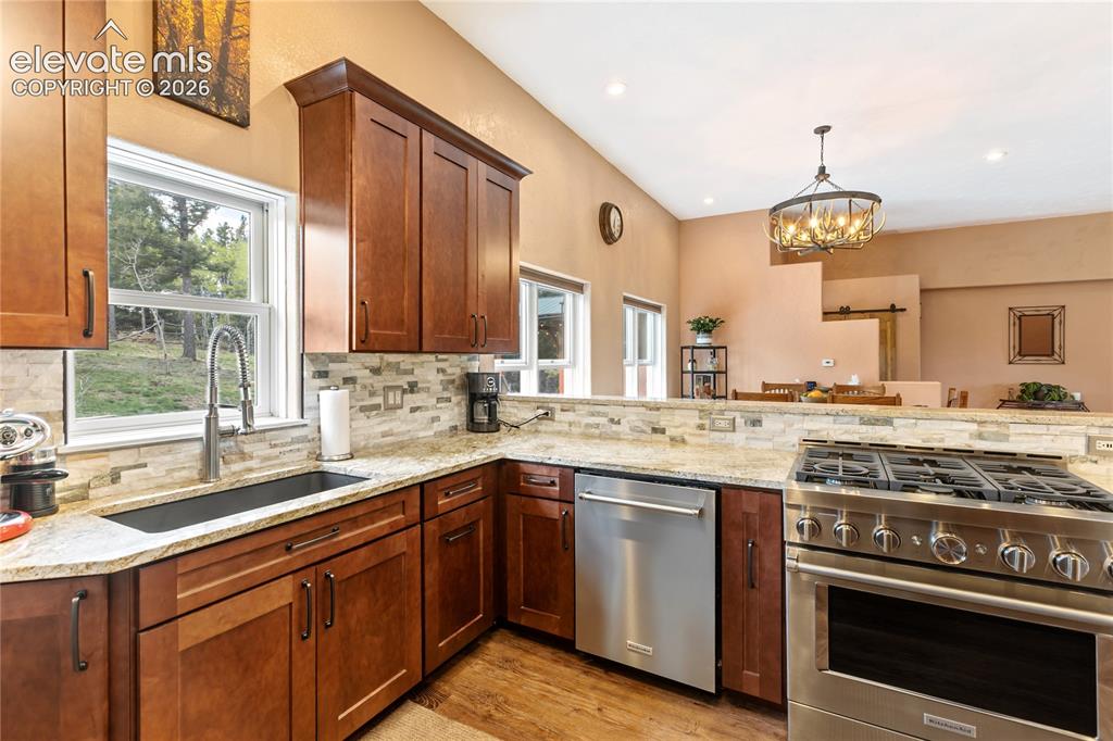 153 Moss Rock Court Divide CO 80814