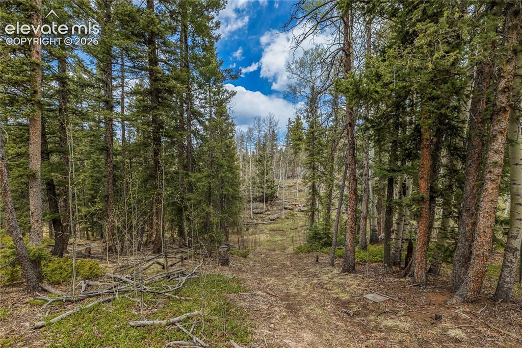 153 Moss Rock Court Divide CO 80814