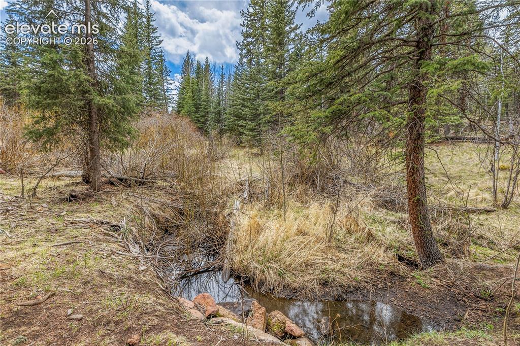 153 Moss Rock Court Divide CO 80814