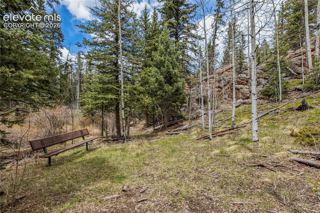 153 Moss Rock Court Divide CO 80814