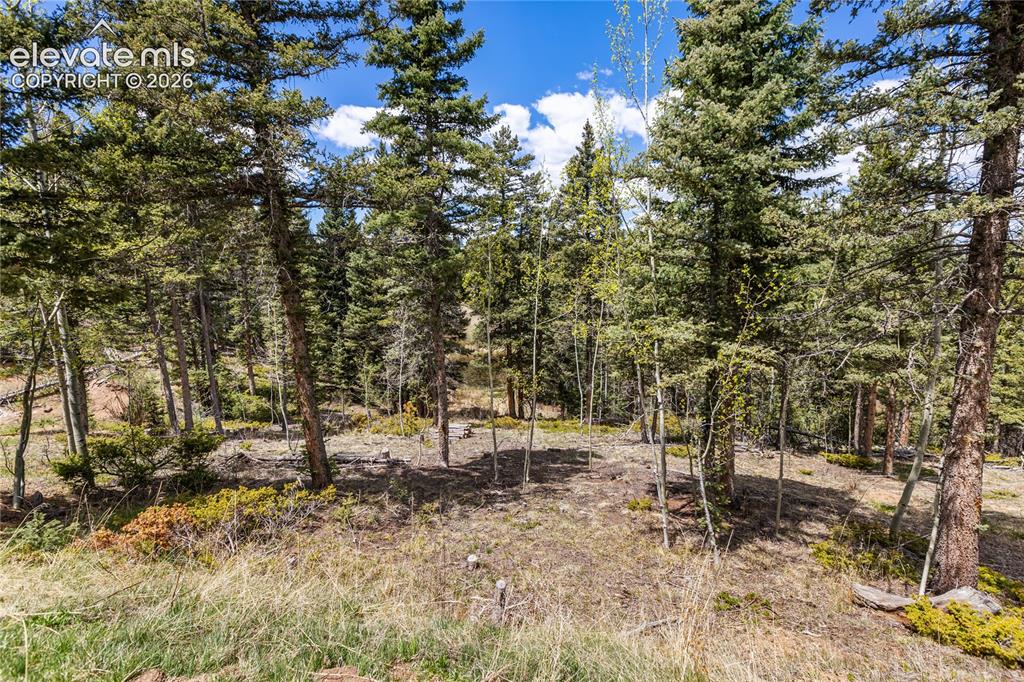 153 Moss Rock Court Divide CO 80814