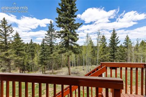153 Moss Rock Court Divide CO 80814