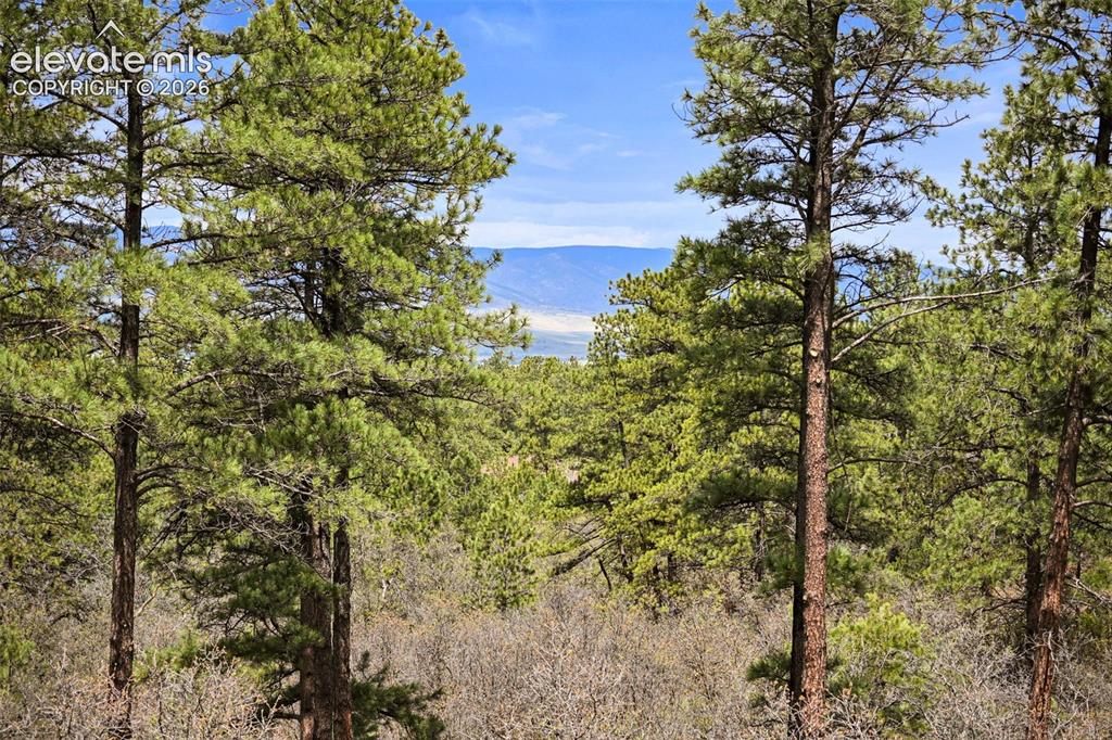 1851 Gore Drive Larkspur CO 80118