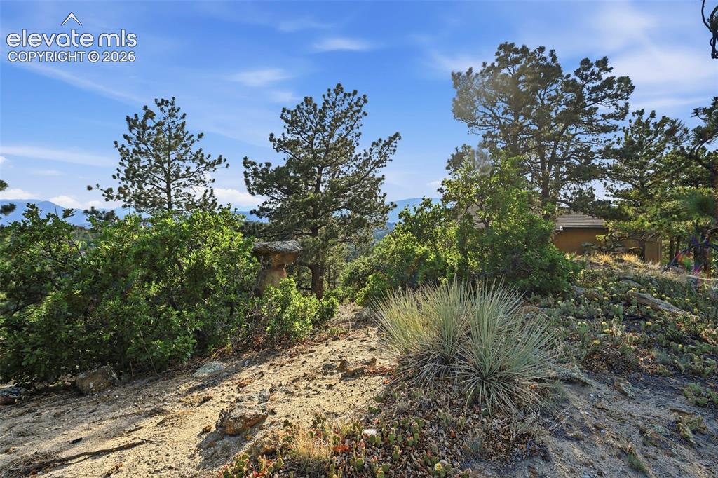 7335 Buckeye Court Colorado Springs CO 80918