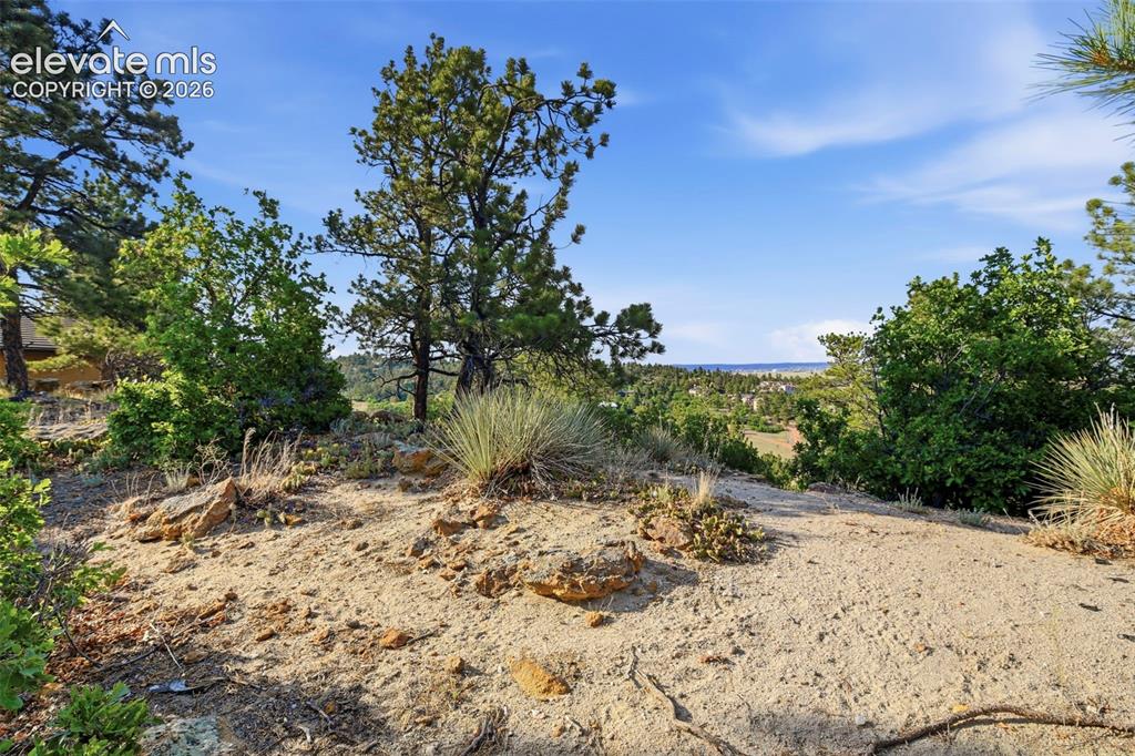 7335 Buckeye Court Colorado Springs CO 80918