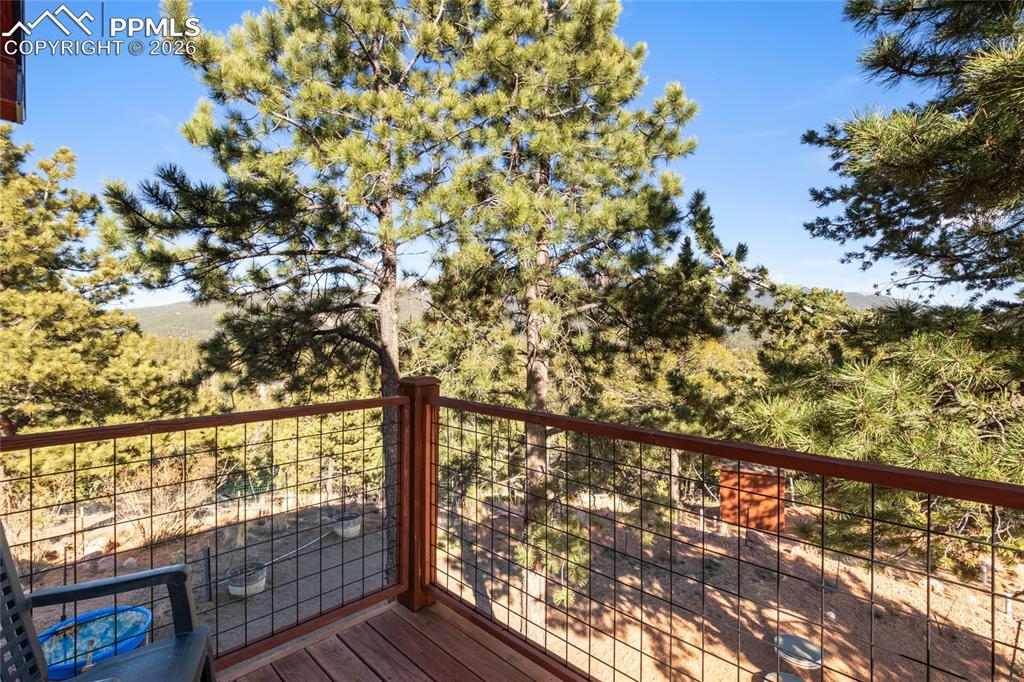 714 Woodrock Way Divide CO 80814