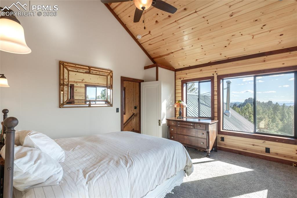 714 Woodrock Way Divide CO 80814