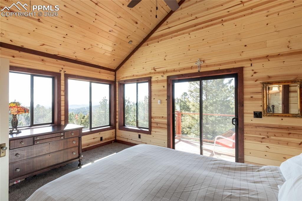 714 Woodrock Way Divide CO 80814
