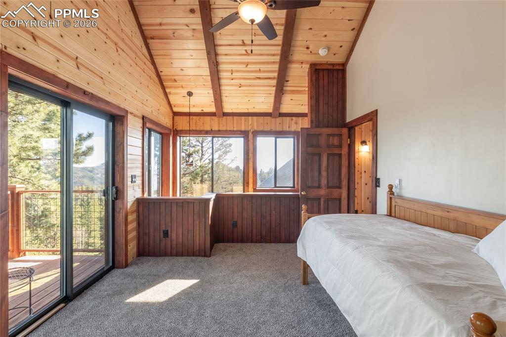 714 Woodrock Way Divide CO 80814