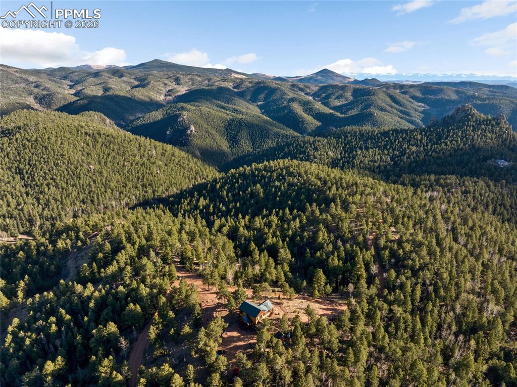 714 Woodrock Way Divide CO 80814