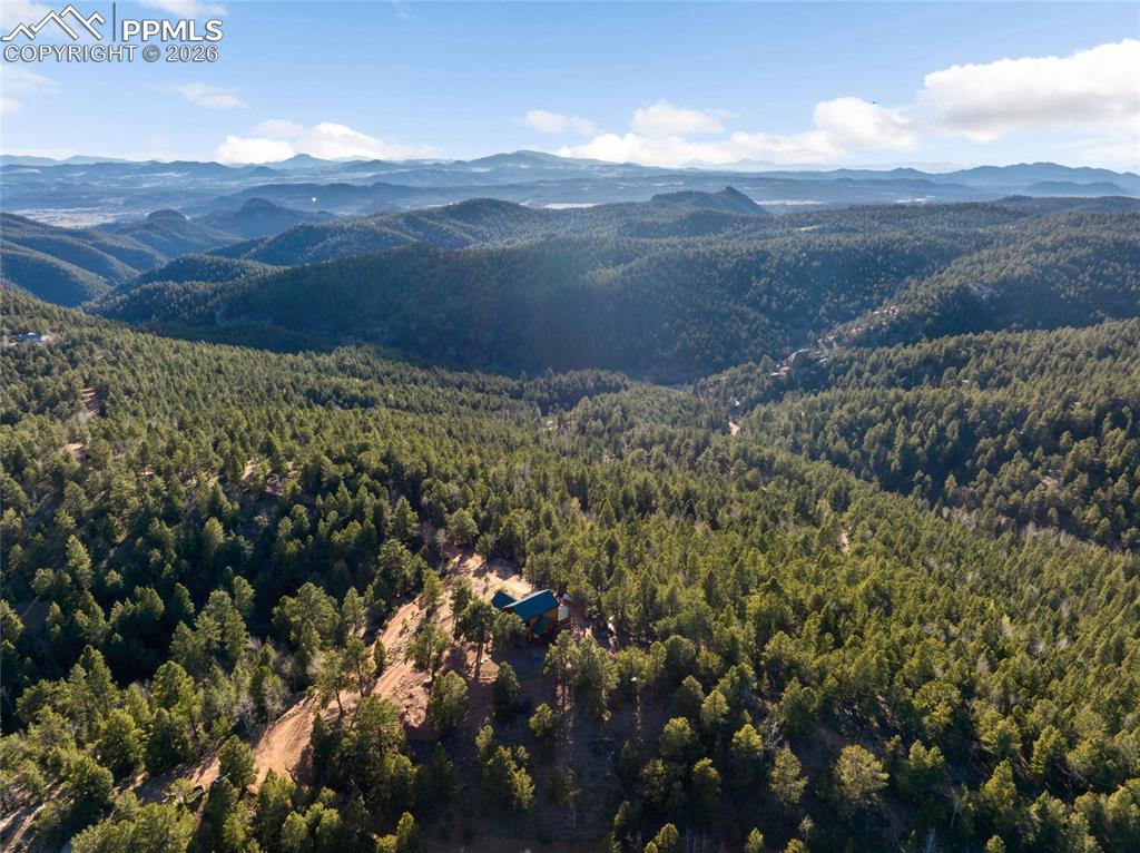 714 Woodrock Way Divide CO 80814