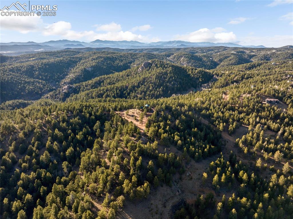 714 Woodrock Way Divide CO 80814