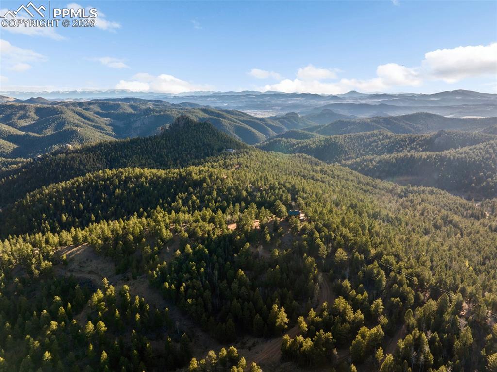 714 Woodrock Way Divide CO 80814