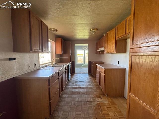 7961 County Road 2a Rush CO 80833