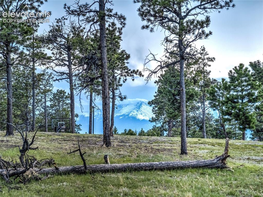 4735 Saxton Hollow Road Colorado Springs CO 80908