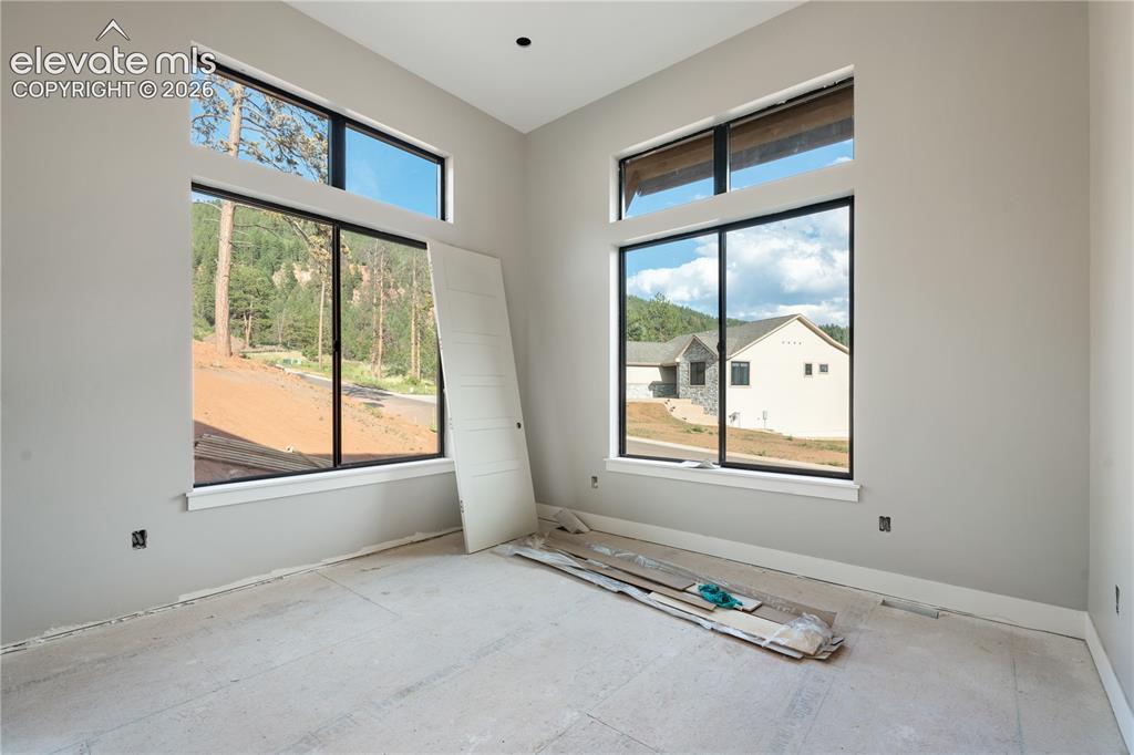 1405 Red Haven Place Woodland Park CO 80863