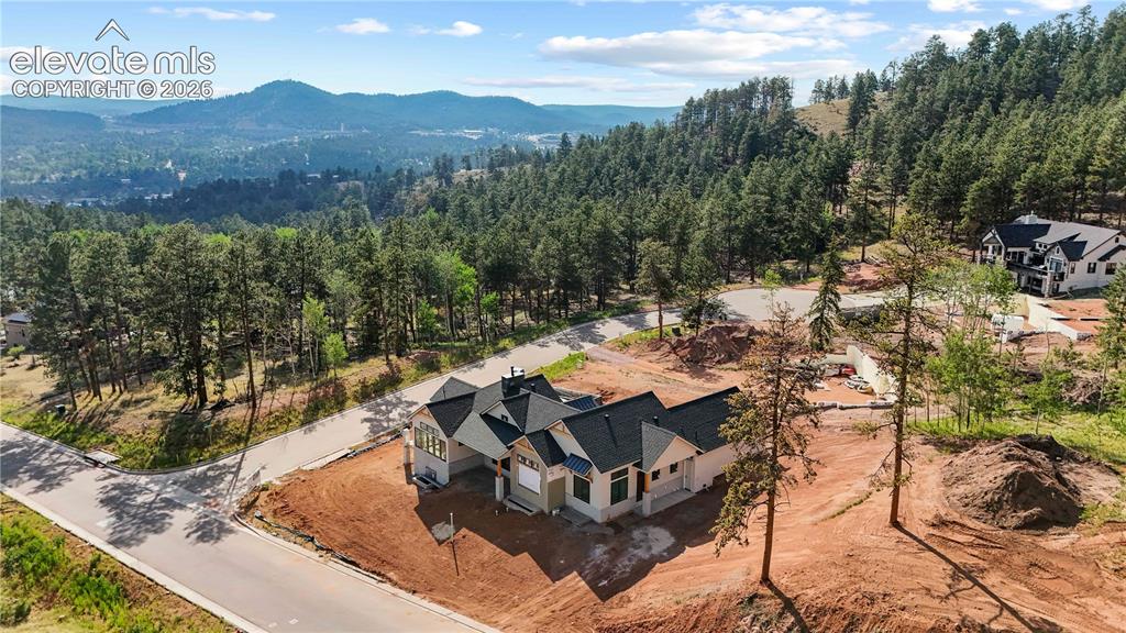 1405 Red Haven Place Woodland Park CO 80863
