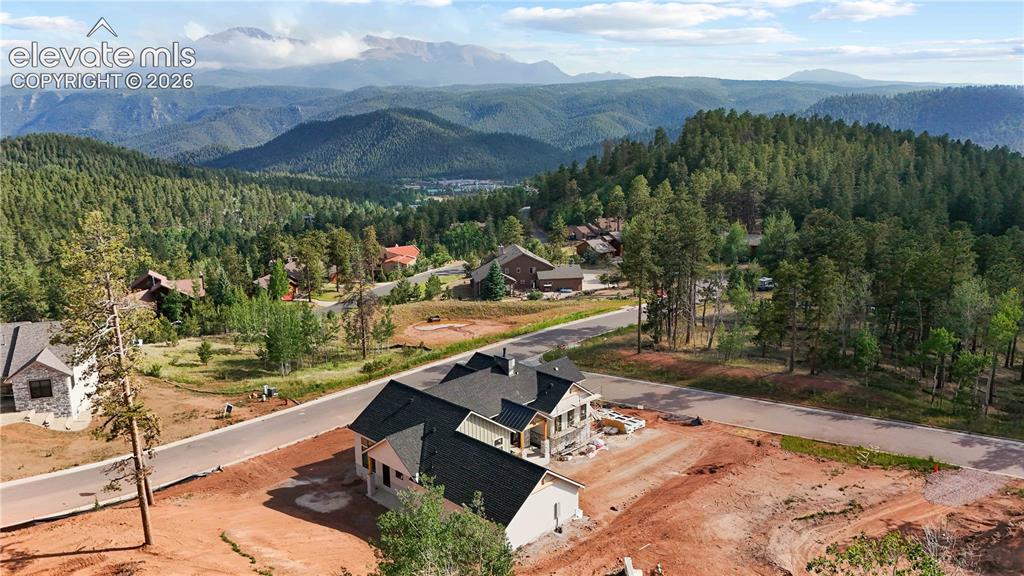 1405 Red Haven Place Woodland Park CO 80863
