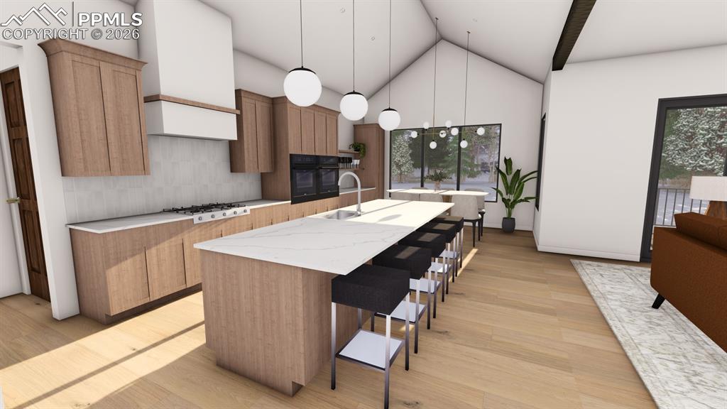 1405 Red Haven Place Woodland Park CO 80863