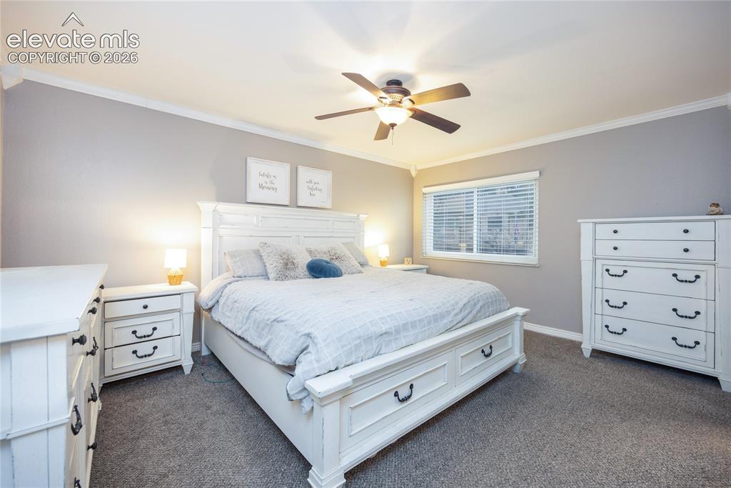 975 Tari Drive Colorado Springs CO 80921